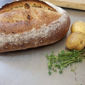 Potato & Thyme Sourdough